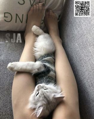 竹升妹之以牙还牙完整版免费_完整版高清下载