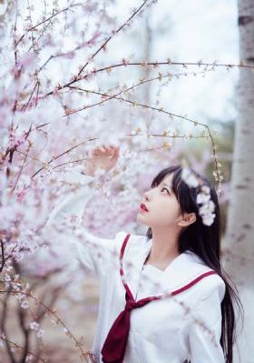 《尸城》_DVD完整视频观看